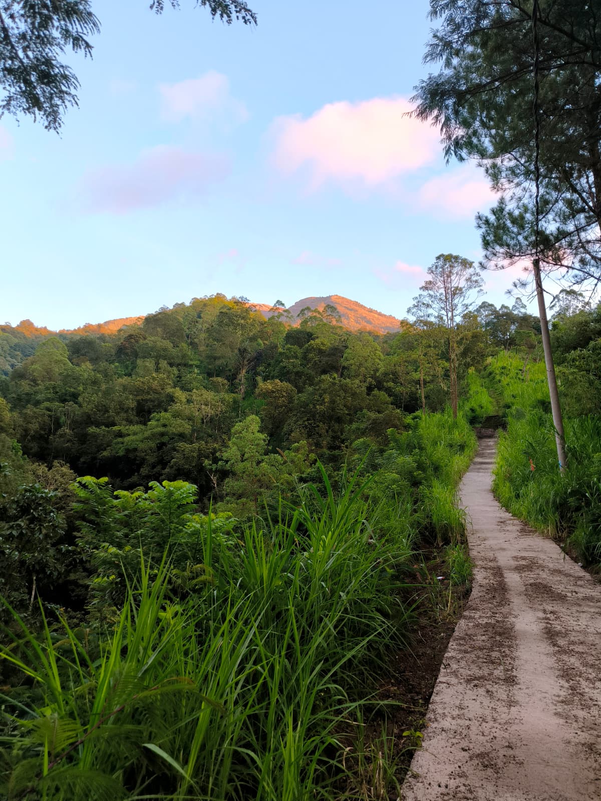 A path leading toward distant mountains at golden hour